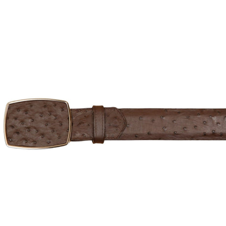 Cinto Vaquero de Avestruz Original Color Cafe - Wild West Boots - Wild West Boots