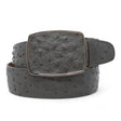 Genuine Ostrich Leather Western Belt Gray Color - Los Altos Boots - Front View