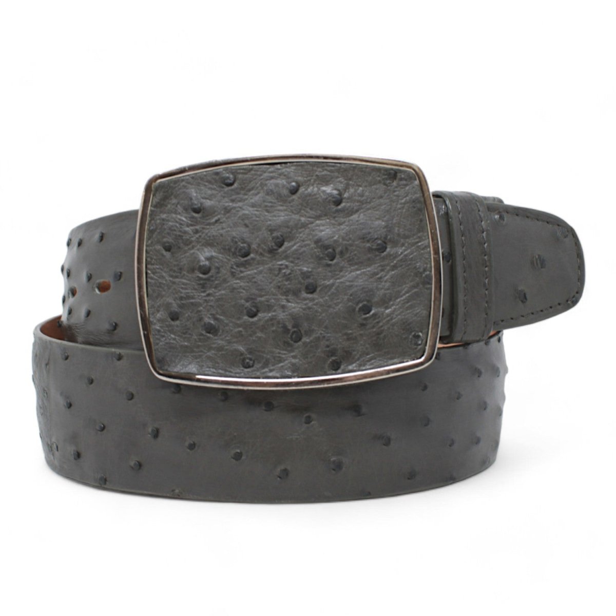 Genuine Ostrich Leather Western Belt Gray Color - Los Altos Boots - Front View