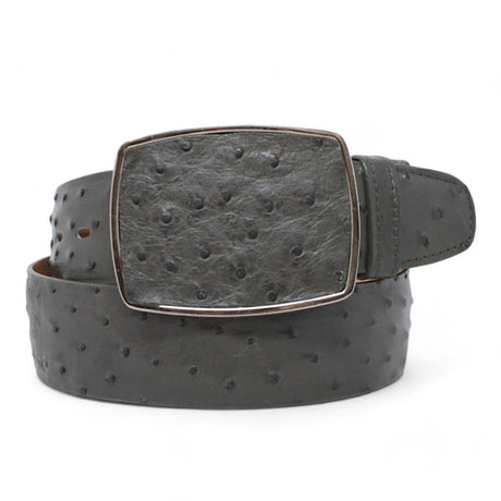 Genuine Ostrich Leather Western Belt Gray Color - Los Altos Boots - Front View