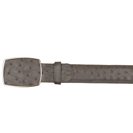 Cinto Vaquero de Avestruz Original Color Gris - Wild West Boots - Wild West Boots