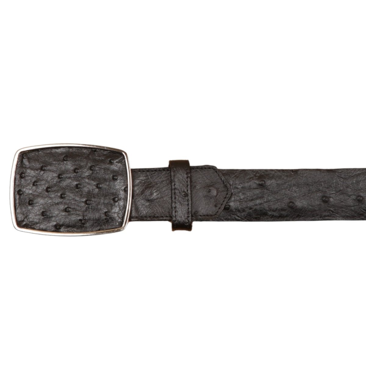 Cinto Vaquero de Avestruz Original Color Negro - Wild West Boots - Wild West Boots