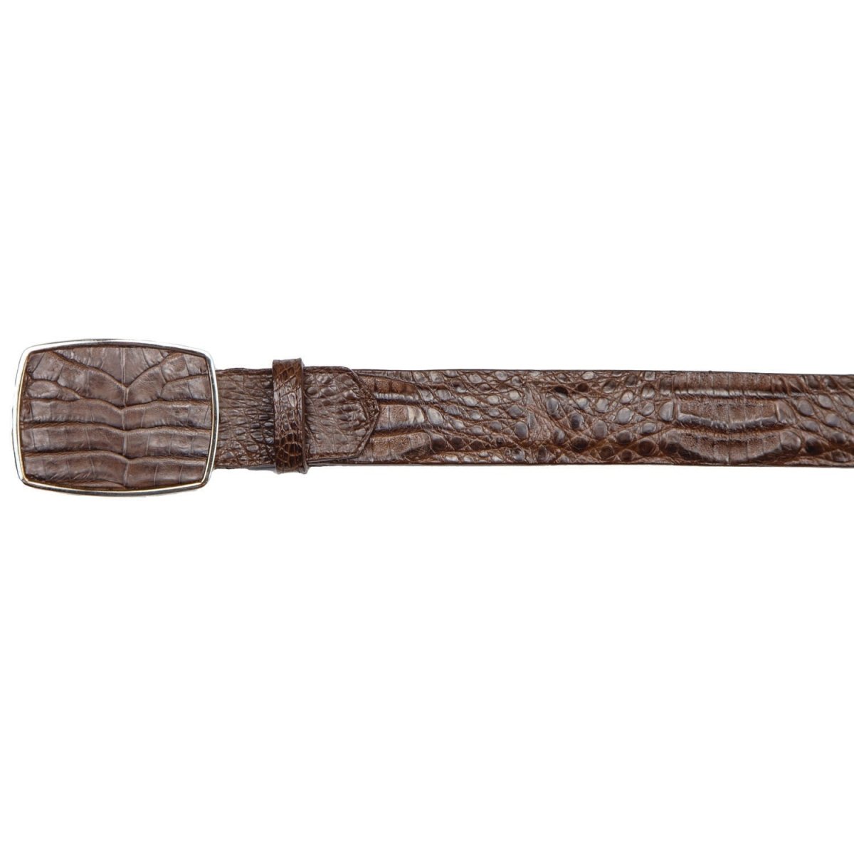 Cinto Vaquero de Panza de Cocodrilo Caiman Original Color Cafe - Los Altos Boots - Los Altos Boots