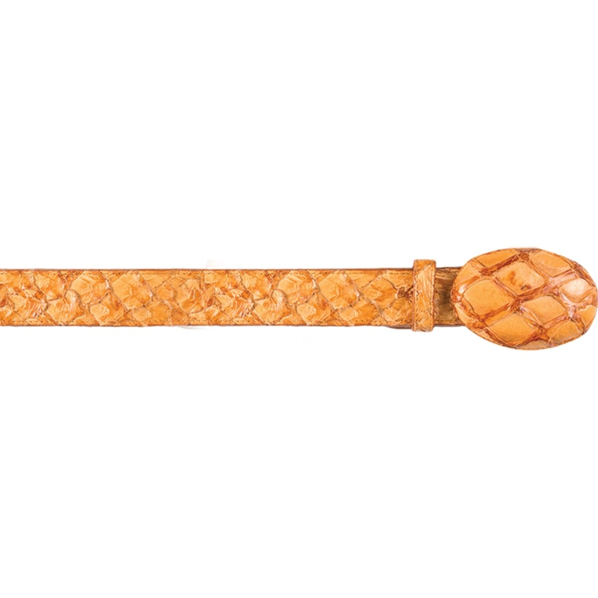 Genuine Piraruccu Cowboy Belt Glossy Buttercup Color - Los Altos Boots - Front View