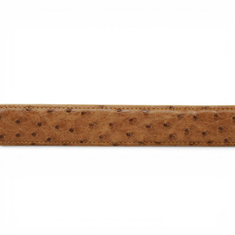 Cinturón de Avestruz Con Hebilla Metálica Texas Antique - TMXB200480 - Tanner Mark Boots