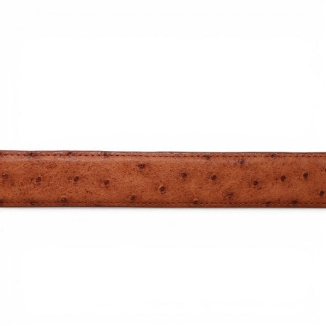 Cinturón de Avestruz Con Hebilla Metálica Texas Brandy - TMXB200479 - Tanner Mark Boots