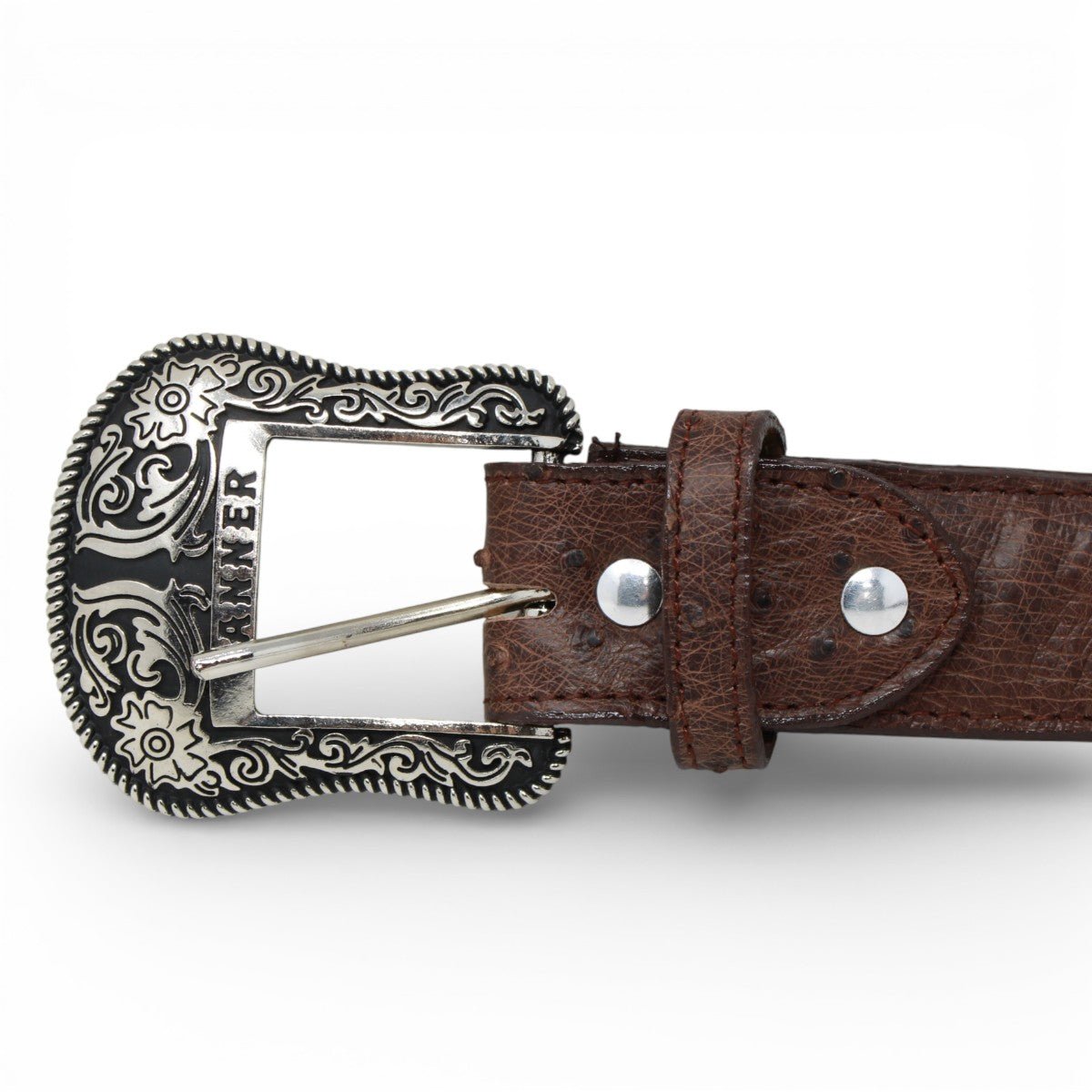 Cinturón de Avestruz Con Hebilla Metálica Texas Tabacco - TMXB200497 - Tanner Mark Boots