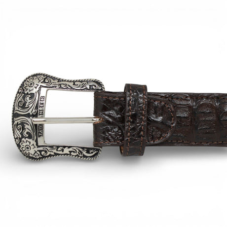 Cinturón de Caiman Cafe Con Hebilla Metálica Texas - TMXB100160 - Tanner Mark Boots