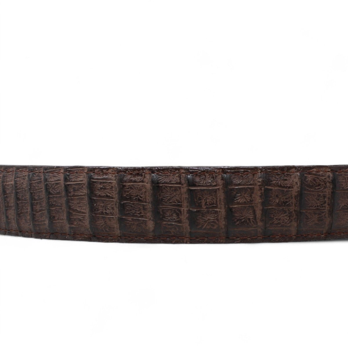 Cinturon de Piel Genuina con Estampado de Caiman Panza Hebilla Metálica Texas Cafe - Tanner Mark Boots