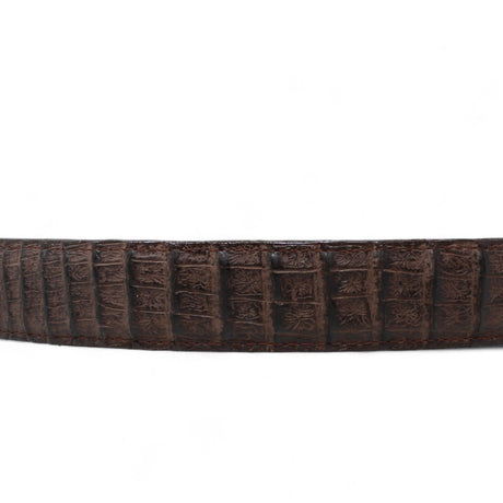 Cinturon de Piel Genuina con Estampado de Caiman Panza Hebilla Metálica Texas Cafe - Tanner Mark Boots