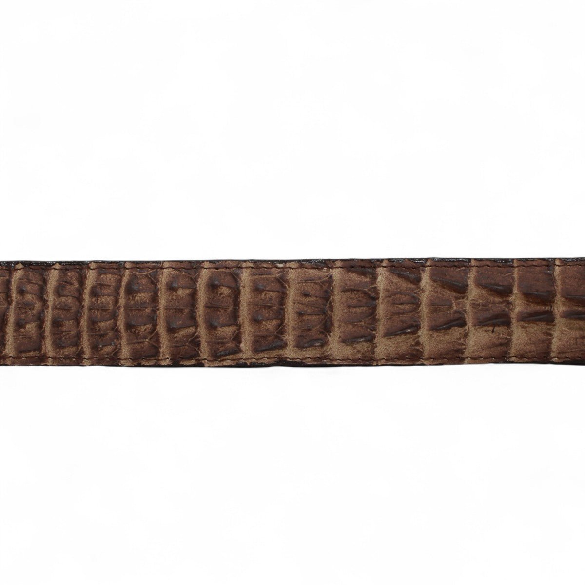 Cinturón de Piel Grabada Caiman Cola Cafe con Hebilla Metálica Texas - TMB20572 - Tanner Mark Boots