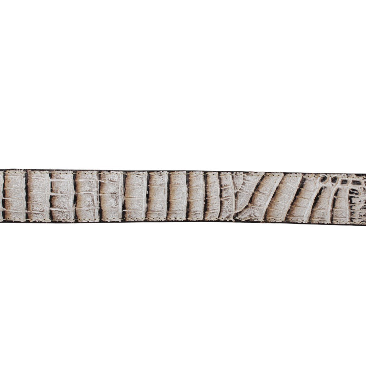 Cinturón de Piel Grabada Caiman con Hebilla Metálica Texas Natural - TMB205569 - Tanner Mark Boots