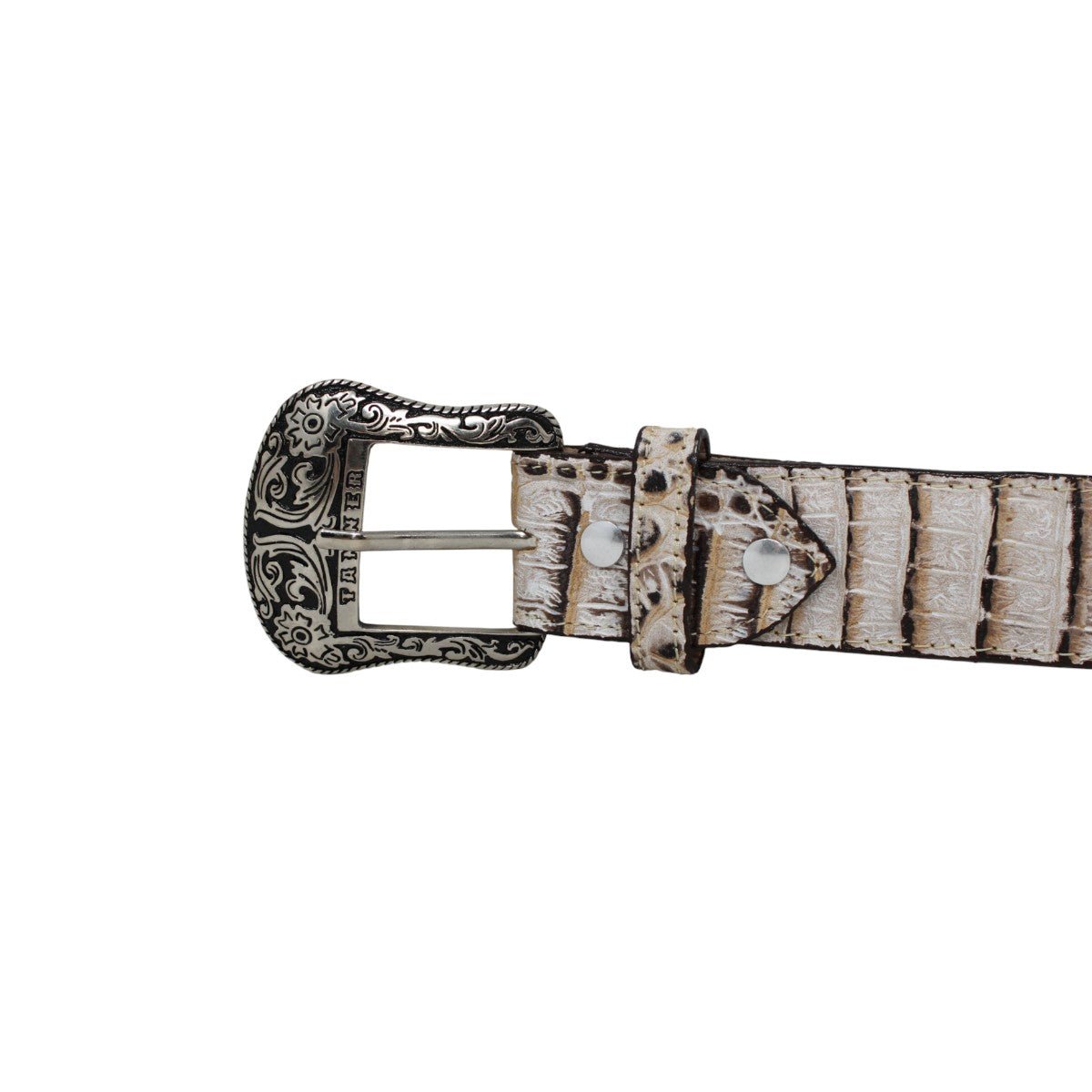 Cinturón de Piel Grabada Caiman con Hebilla Metálica Texas Natural - TMB205569 - Tanner Mark Boots