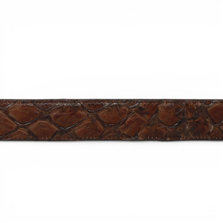 Cinturón de Pirarucu Con Hebilla Metálica Texas Cafe - TMXB201307 - Tanner Mark Boots