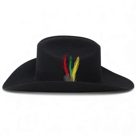 20x tombstone black johnson western hat  with a feather  side