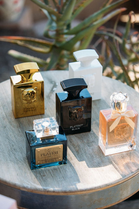 Men's 24k Pour Homme Fragrance - Platini Fashion