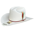Morcon 500X Fine Shatung Straw Cowboy Hat Sinaloa Style with Feathers - Rodeo Durango