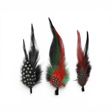Set de Plumas Vaqueras para Sombrero 3 Piezas Multicolor – Accesorio para Texana y Sombrero Western - Hooch