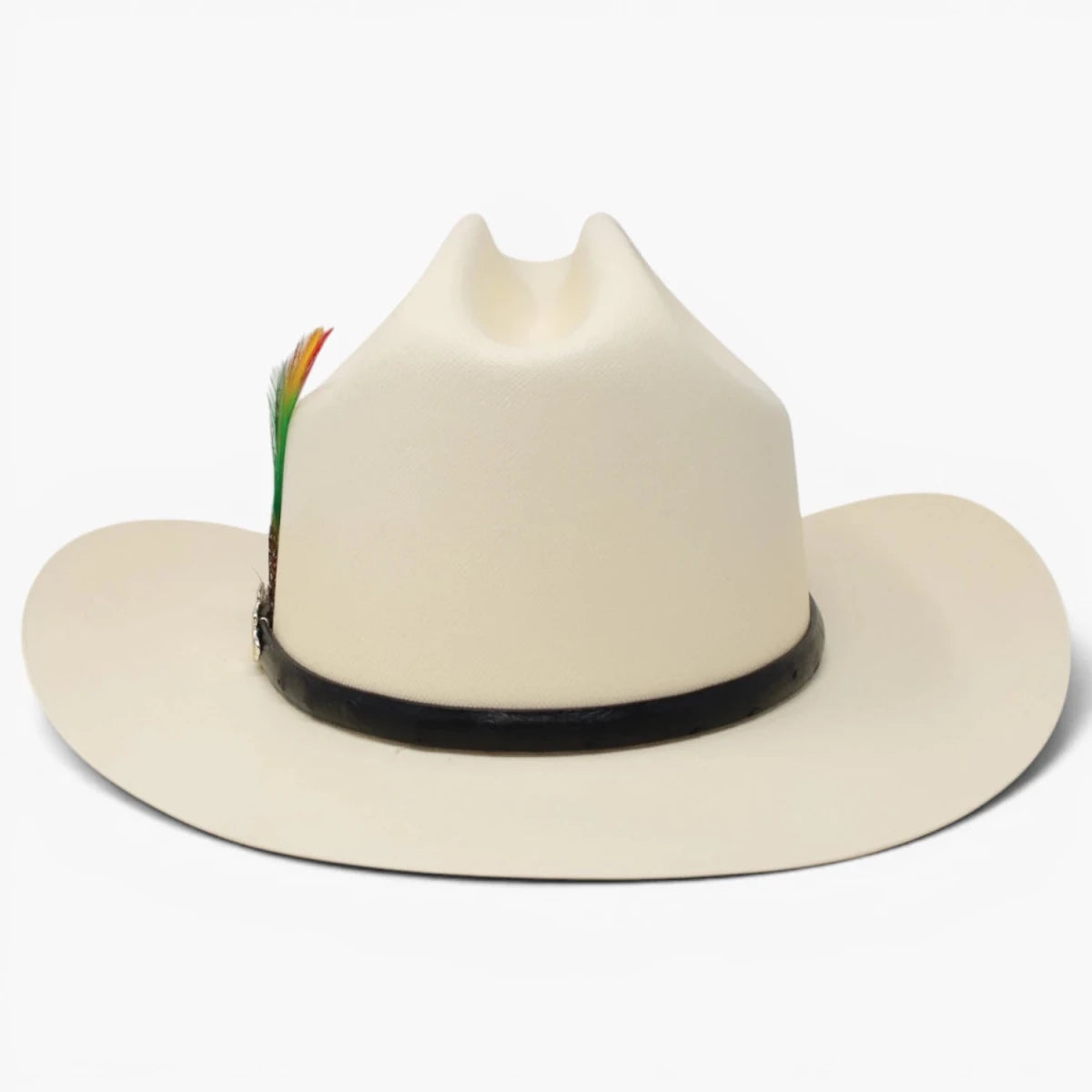 Sombrero Tombstone 10,000X Estilo Sinaloa con Plumas Ala 3 1/2" - Tombstone