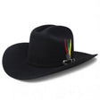 Tombstone 20X Johnson Estilo El Fantasma Color Negro con Plumas - Tombstone