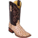 Botas de Avestruz Grabado Horma Rodeo Cuadrada Q8220311 - Quincy Boots