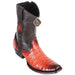 Botas de Cocodrilo Caiman Panza Corta Dubai KE-479B8257 - King Exotic Boots