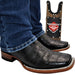 Botas de Cocodrilo Grabado Horma Rodeo Cuadrada Q822A8205 - Quincy Boots