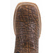 Botas de Elefante Grabado Horma Rodeo Cuadrada Color Cafe Q8227059 - Quincy Boots