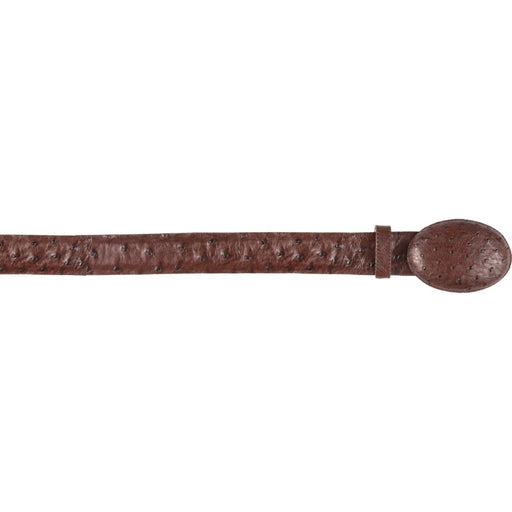 Cinturon con Cerda de Caballo Cafe - Cinturones Vaqueros para Hombre