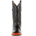 Ferrini Men's Stallion Alligator Belly Boots Square Toe Black 1079304 - Ferrini Boots