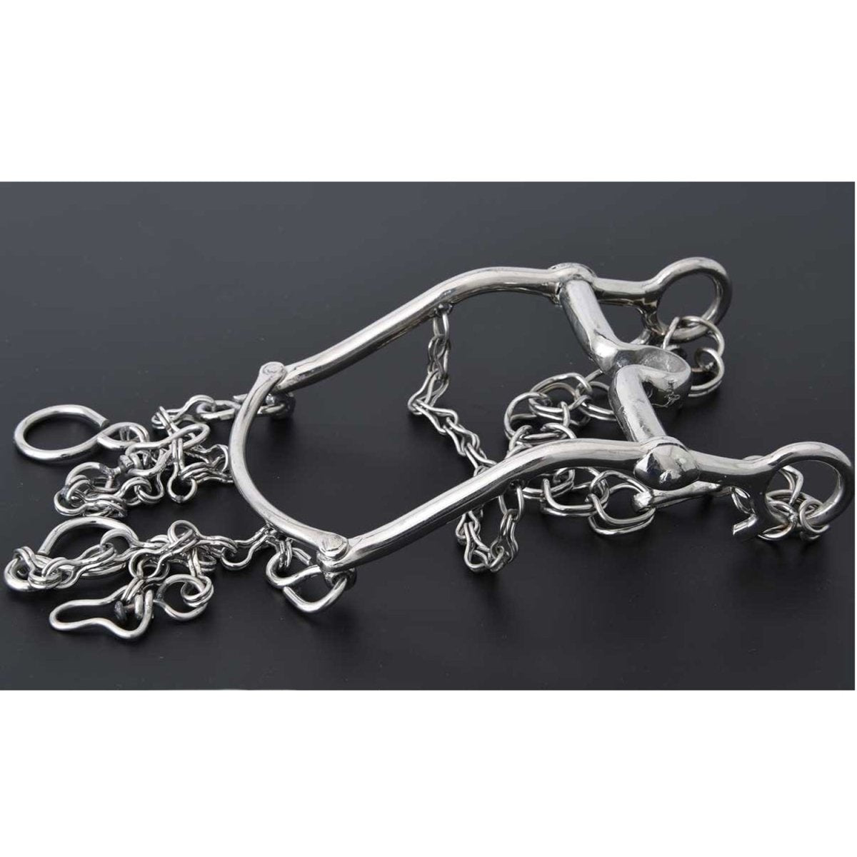 Freno Fino para Pony de Acero Inoxidable Color Plata WD-1207 - White Diamonds Boots