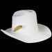Pluma de Plata y Oro para Texana o Sombrero Vaquero - El General