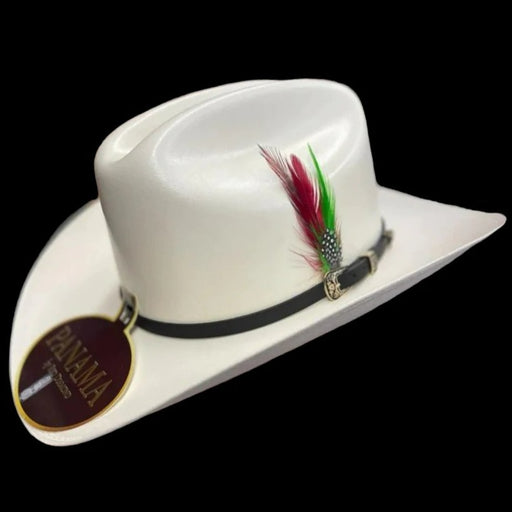 Men's Hats Tombstone 1,000X Style Carin Leon Straw Cowboy Hat, Sombrero  Vaquero Estilo Carin Leon (6 3/4, Natural) at  Men's Clothing store