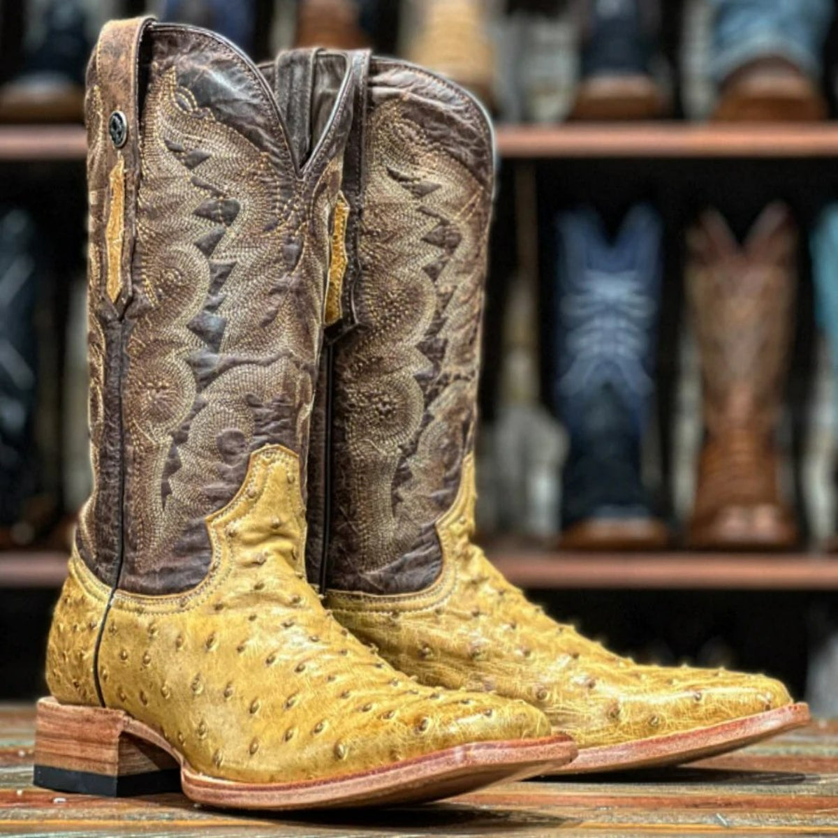 Grease Contradict Push down Tanner Mark Men's Genuine Full Quill Ostrich Square Toe Boots Saddle —  CaballoBronco.com