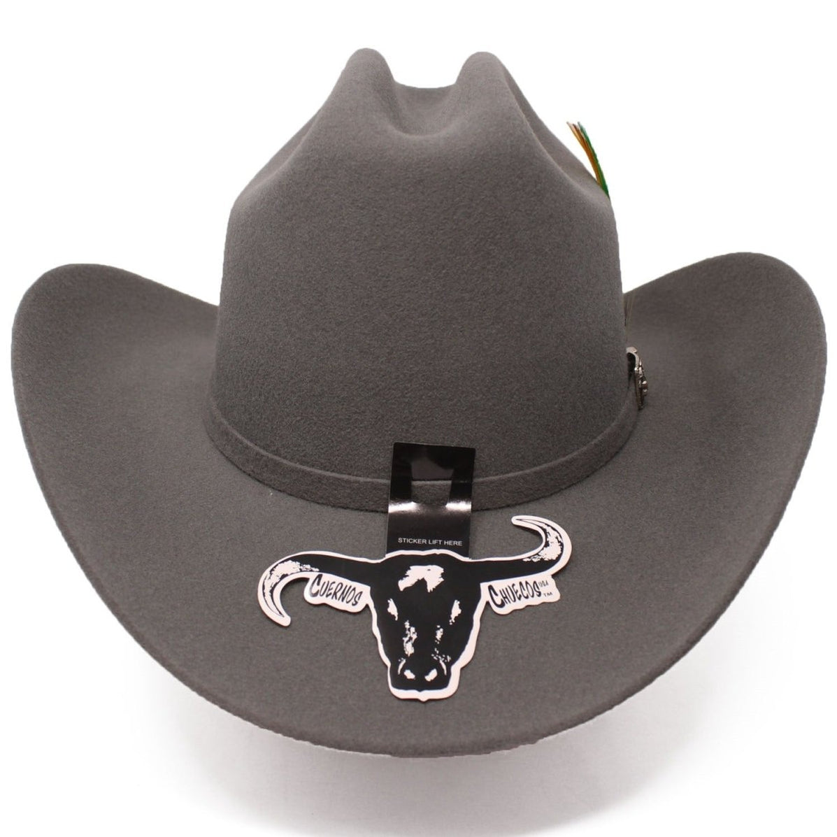 Texana Cuernos Chuecos 6X Color Negro Horma Sinaloa CC-0503