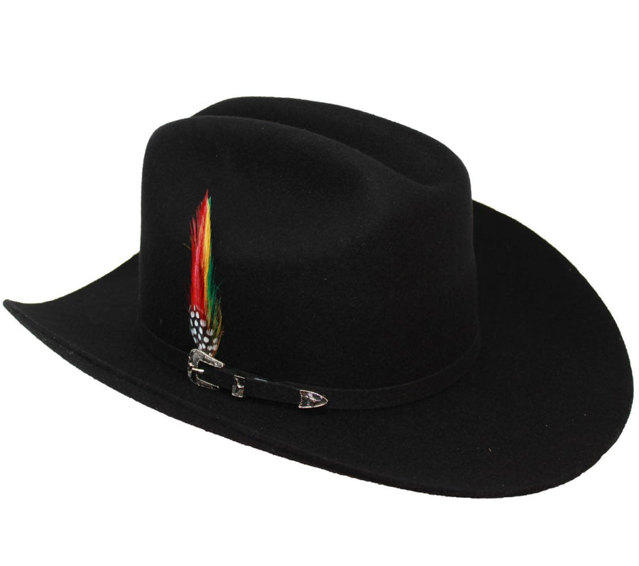 Texana Cuernos Chuecos 6X Color Negro - Milano