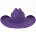 Texana Sombrero Vaquero para Mujer 100X Color Morado con Plumas - Tombstone