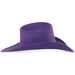 Texana Sombrero Vaquero para Mujer 100X Color Morado con Plumas - Tombstone