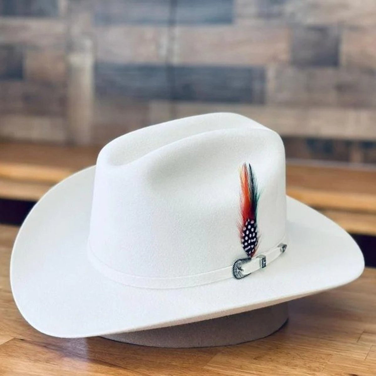 Texana Cuernos Chuecos 6X Horma Durango Blanca con Plumas